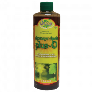 Photosynthesis Plus -O - Image 2