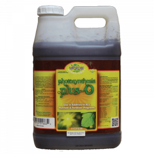 Photosynthesis Plus -O - Image 4