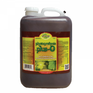 Photosynthesis Plus -O - Image 5