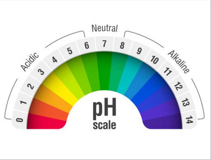 LP pH DOWN - MicrobeLifeHydro